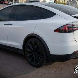 Starlight Pink Tesla - KPMF AZRAGIPS